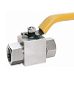 Female Ball Valve